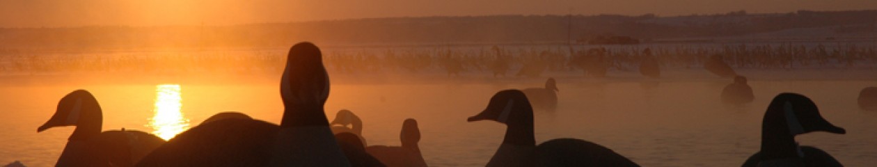 Squaw Creek Hunt Club – Mound City, Missouri – Fully Guided Duck Hunts- Ducks, Canada Geese, Snow Geese – All Inclusive – Lodging – 855-473-2875