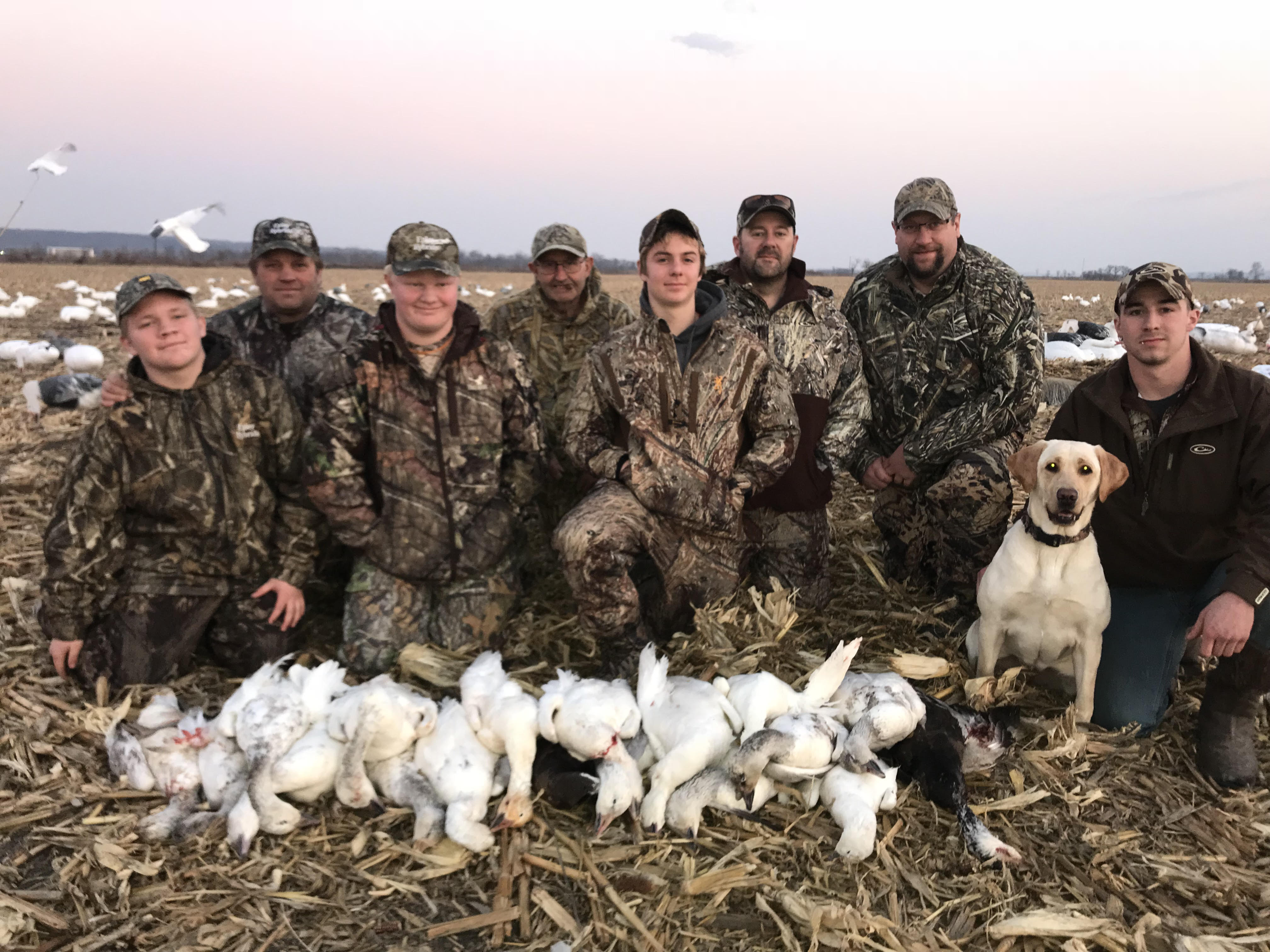 Guided Spring Snow Goose hunts - 855-473-2875
